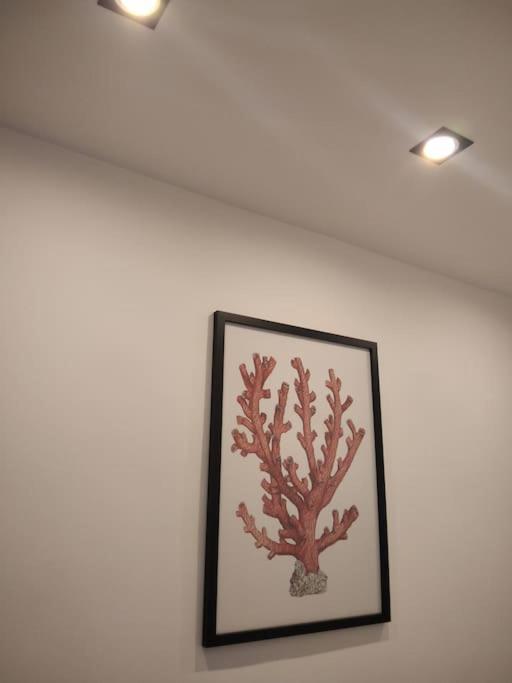 Dimora Cutelli Διαμέρισμα Κατάνια Εξωτερικό φωτογραφία